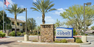 Cobalt on 32nd Street Gallery 16