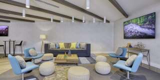 The Enclave Gallery 8