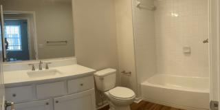 The Trace at 161 Gallery 15