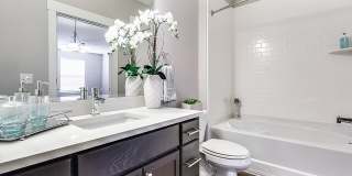 Cottonwood Reserve Gallery 25