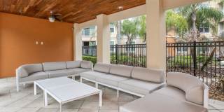 RIZE at Winter Springs Gallery 23