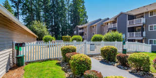 Black Lake Gallery 8