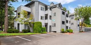 Mountain Meadows Gallery 32