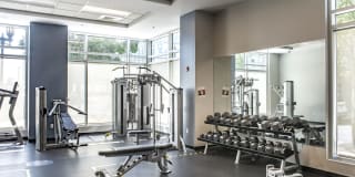 Park Lane Seaport Gallery 22