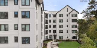 Novel Cary Gallery 53