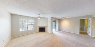 Cypress Run Gallery 34