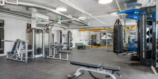 Revolution at Assembly Row Gallery 18