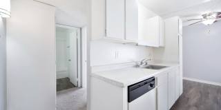 The Canopy Gallery 8