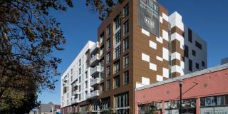 Alexan Webster Gallery 18