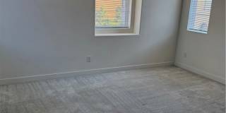 2074 Wild Wood Gallery 15