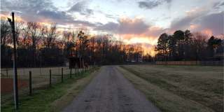Close to Barksdale Air Force Base... Gallery 24