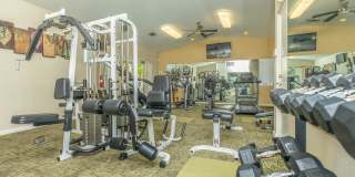 Avery at TownCentre Gallery 3