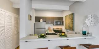 1311 Cook Gallery 12