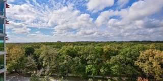 9725 Woods Drive unit: 1002 Gallery 17