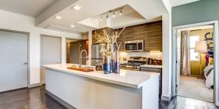 The Douglas at Stonelake Gallery 16