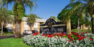 Silver Palms Gallery 22