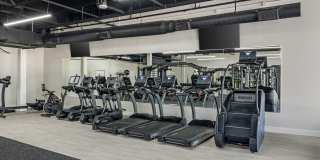 Villaggio Gallery 14