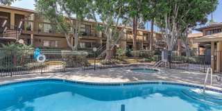 Palm Lane Apartment Homes Gallery 3