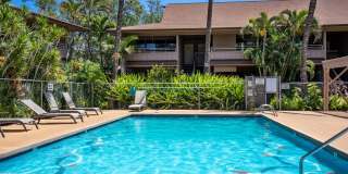 Fully Furnished, 1 Bed/1 Bath, Kihei Bay Vista with Pool Fully Furnished, 1 Bed/1 Bath, Kihei Bay Vista with Pool Gallery 35