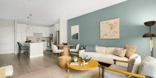 Aster at the Summit Gallery 6