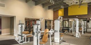 The Retreat at Sawgrass Village Gallery 10