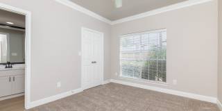 Las Palmas Gallery 33