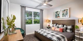 Allora New Forest Gallery 7