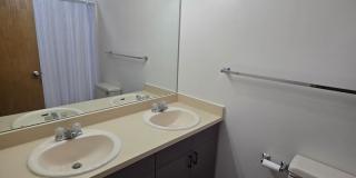 Super Clean and Private! Gallery 13