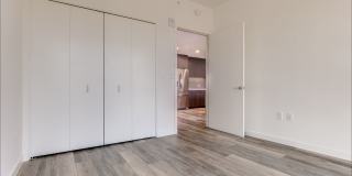 The Merian Gallery 32