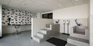 Maple Terrace Residences Maple Terrace Residences Gallery 41