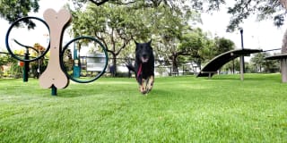 Solaris Key Gallery 33