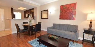 Meridian STUDIO Condo Fully Furnished w/Main Pool View-Lush Green trees in Resort Style Community. Gallery 1