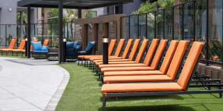 The Willows Gallery 30