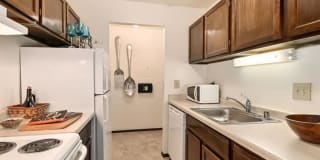 New Fountains Gallery 2