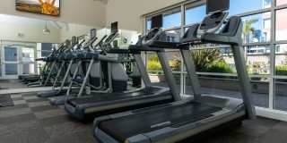 SOMA at 788 Gallery 24