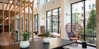 Bexley Summerhill Gallery 17