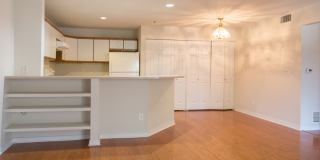 Conveniently Located Modern Two Bedroom Condo For Rent in Westwood Condominiums Gallery 10
