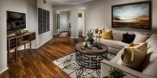 Provence at Valencia Gallery 18