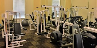 Sendera at Greenway Gallery 4