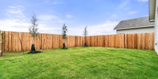 907 Stricker Path Gallery 16