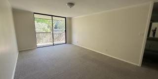 6351 Shelter Creek Lane - 1 Gallery 1