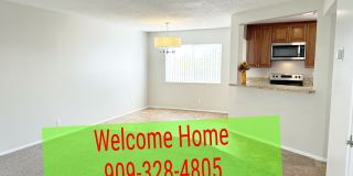 25863 Pacific St Gallery 14