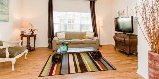 Willow Lake Gallery 31