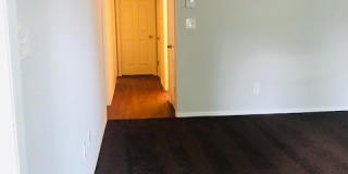 AV Gallery 9