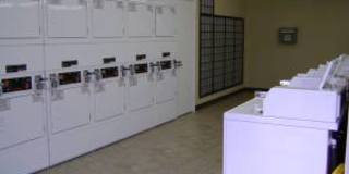 Pinewoods Gallery 4