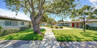 The Pines Apartments Gallery 18