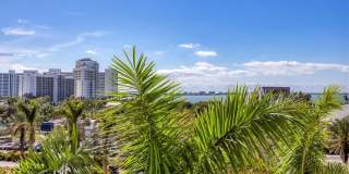 800 N TAMIAMI TRAIL Gallery 27