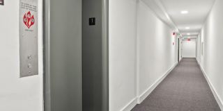 Horizon Gallery 247