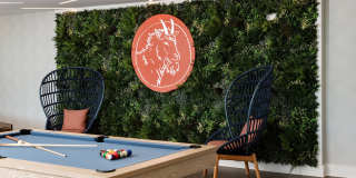 The Upton Gallery 26