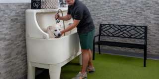 Camden Highland Village Gallery 57